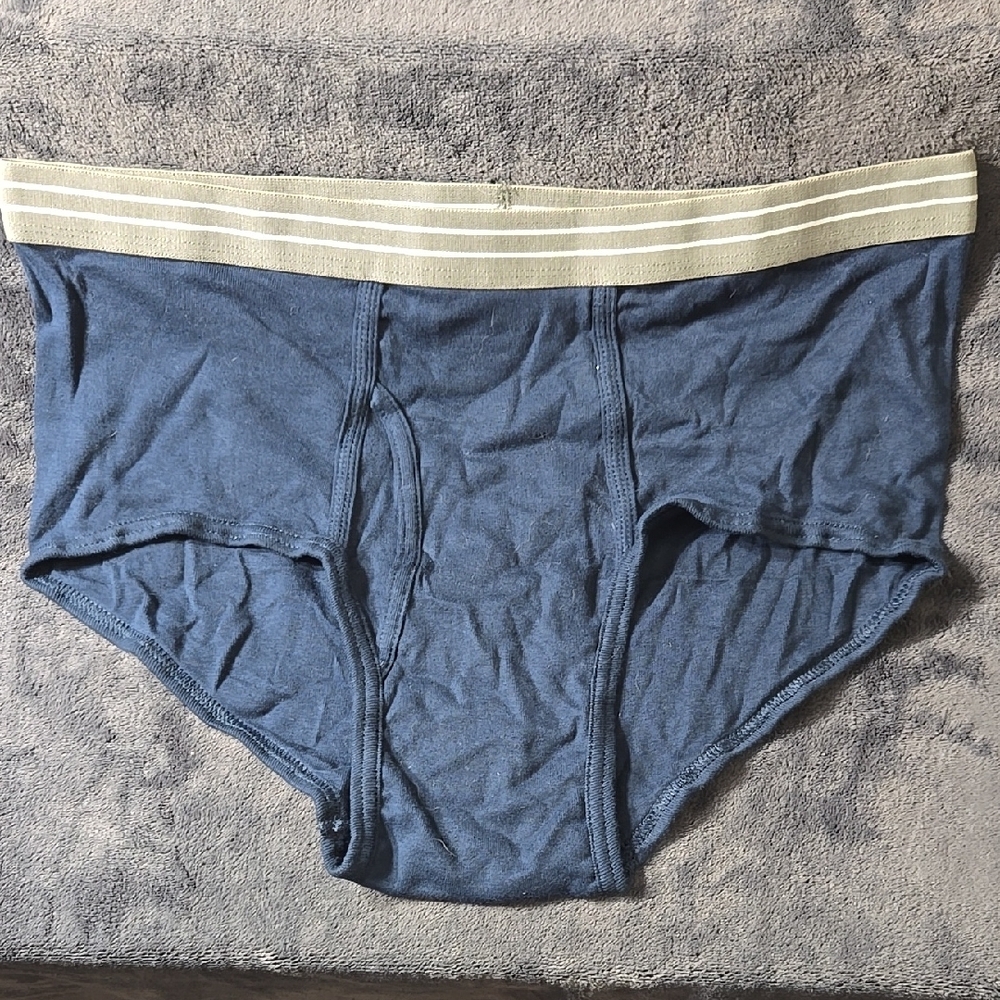 Blue Briefs with Soft Stretchy Fabric and Contrasting Waistband